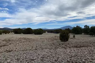 7378 Tulip Trail, Williams, AZ 86046 - Photo 1