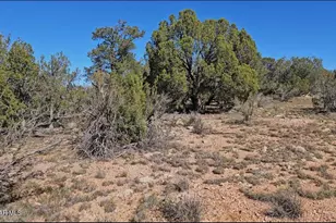 54913 N Echo Ln, Seligman, AZ 86337 - Photo 1