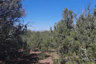 Lot 602A N Edge Ridge Rd, Seligman, AZ 86337 - Photo 1
