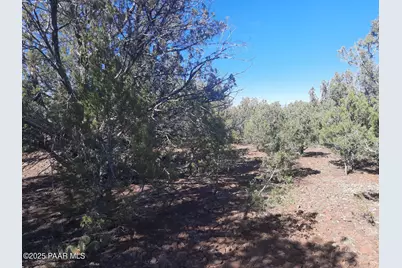 Lot 602A N Edge Ridge Rd, Seligman, AZ 86337 - Photo 5
