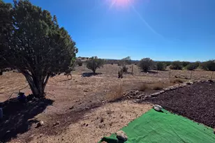 1505 W Bernadine S Way, Ash Fork, AZ 86320 - Photo 49