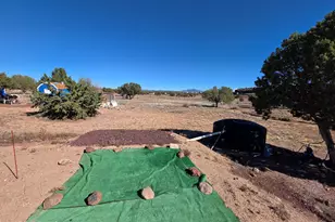 1505 W Bernadines Way, Ash Fork, AZ 86320 - Photo 51
