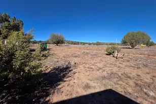 1505 W Bernadine S Way, Ash Fork, AZ 86320 - Photo 43