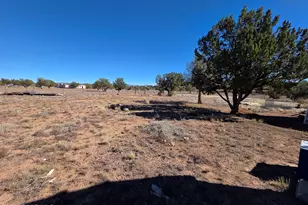1505 W Bernadines Way, Ash Fork, AZ 86320 - Photo 43