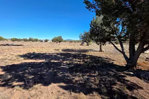 1505 W Bernadine S Way, Ash Fork, AZ 86320 - Photo 45