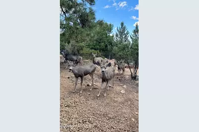 1390 E Valley View Road, Prescott, AZ 86303 - Photo 41