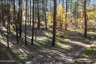 5800 W Rooney Way, Prescott, AZ 86305 - Photo 7