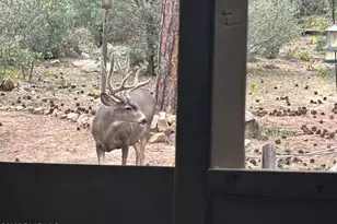 212 Creekside Cir, Prescott, AZ 86303 - Photo 27