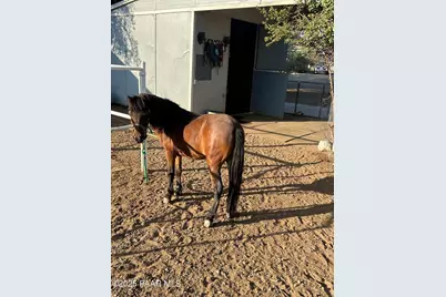 13686 S Burton Road, Mayer, AZ 86333 - Photo 35