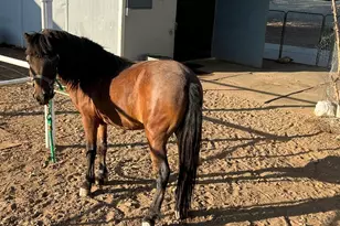 13686 S Burton Rd, Mayer, AZ 86333 - Photo 35