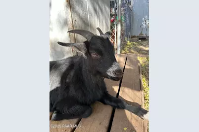 13686 S Burton Road, Mayer, AZ 86333 - Photo 37