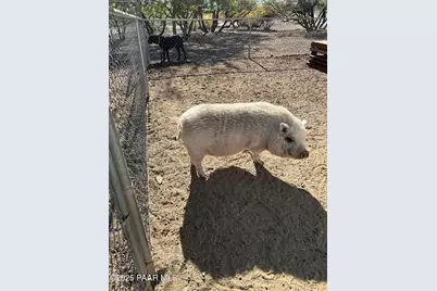 13686 S Burton Road, Mayer, AZ 86333 - Photo 39