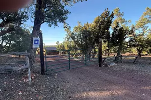 34460 W North Via De Oro Pkwy, Seligman, AZ 86337 - Photo 51