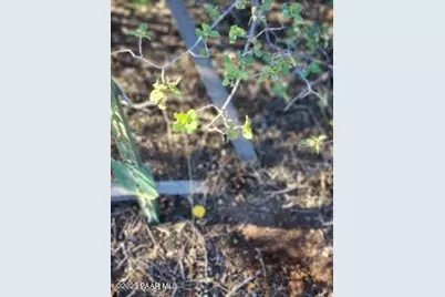 00 W Young Road, Prescott, AZ 86305 - Photo 7