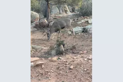 1716 Alpine Meadows Lane #305, Prescott, AZ 86303 - Photo 49