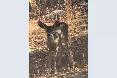 1716 Alpine Meadows Lane #305, Prescott, AZ 86303 - Photo 47