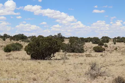 904 S Wyandotte Road, Williams, AZ 86046 - Photo 5