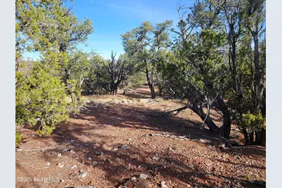 54892 N Potrero Lane, Seligman, AZ 86337 - Photo 9