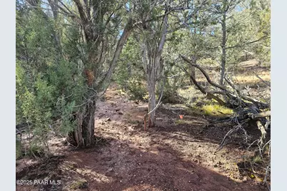 54892 N Potrero Lane, Seligman, AZ 86337 - Photo 7