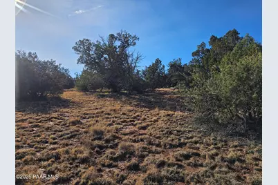 54892 N Potrero Lane, Seligman, AZ 86337 - Photo 5