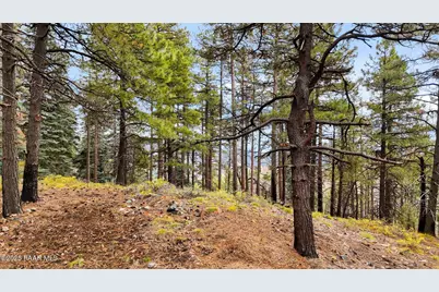 1500 E Forest Service 12.488 Road, Prescott, AZ 86303 - Photo 15