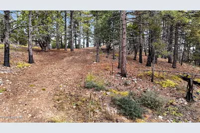 1500 E Forest Service 12.488 Road, Prescott, AZ 86303 - Photo 21