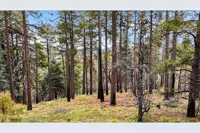 1500 E Forest Service 12.488 Road, Prescott, AZ 86303 - Photo 23