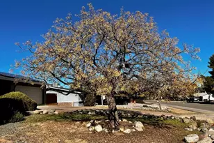 4520 E Western Dr, Cottonwood, AZ 86326 - Photo 49