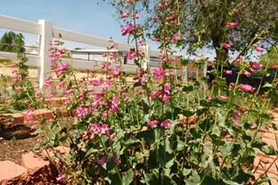 3250 N Mountain View Dr, Prescott Valley, AZ 86314 - Photo 43