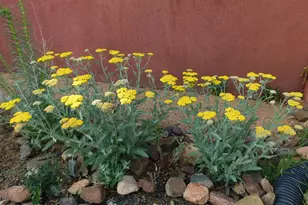 3250 N Mountain View Dr, Prescott Valley, AZ 86314 - Photo 47