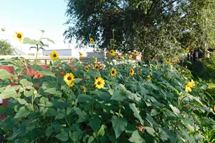 3250 N Mountain View Dr, Prescott Valley, AZ 86314 - Photo 51