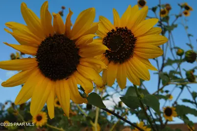 3250 N Mountain View Drive, Prescott Valley, AZ 86314 - Photo 39