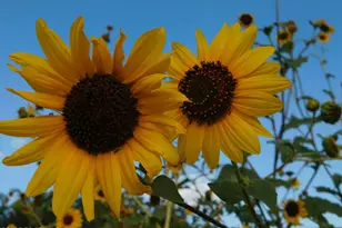 3250 N Mountain View Dr, Prescott Valley, AZ 86314 - Photo 39