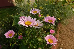 3250 N Mountain View Dr, Prescott Valley, AZ 86314 - Photo 55