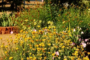 3250 N Mountain View Dr, Prescott Valley, AZ 86314 - Photo 53