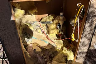 32425 W Our St, Seligman, AZ 86337 - Photo 23