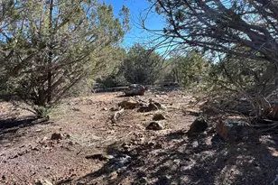 32425 W Our St, Seligman, AZ 86337 - Photo 35