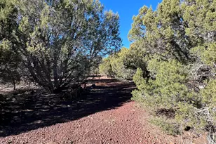 32425 W Our St, Seligman, AZ 86337 - Photo 25