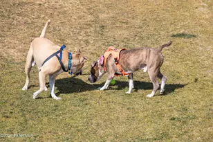 4335 N Larkin Ave, Prescott Valley, AZ 86314 - Photo 37