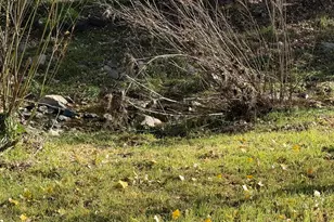 333 W Leroux St, Prescott, AZ 86303 - Photo 23