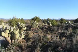 20920 E Bright Sun (4 16 Acres) Way, Mayer, AZ 86333 - Photo 21