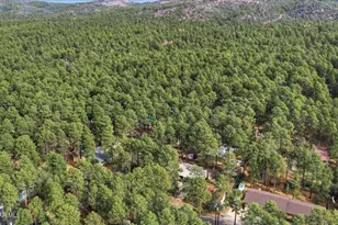 4491 S Spur Ln, Prescott, AZ 86303 - Photo 31