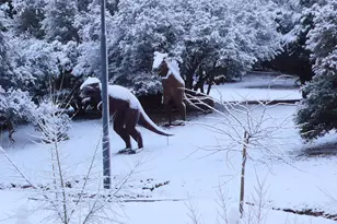 2394 Oakwood Dr, Prescott, AZ 86305 - Photo 63