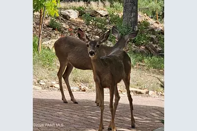 2394 Oakwood Drive, Prescott, AZ 86305 - Photo 59