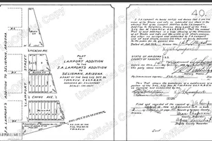 22205 W Old Hwy 66 Rd, Seligman, AZ 86337 - Photo 17
