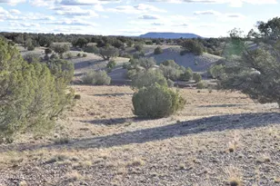 Lot690&691 691 Cr 5270 (Old Hunt Rd) Rwm, Concho, AZ 85924 - Photo 1