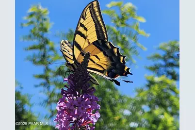 1125 N Wagon Wheel Place, Chino Valley, AZ 86323 - Photo 55