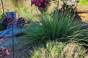 1125 N Wagon Wheel Pl, Chino Valley, AZ 86323 - Photo 31