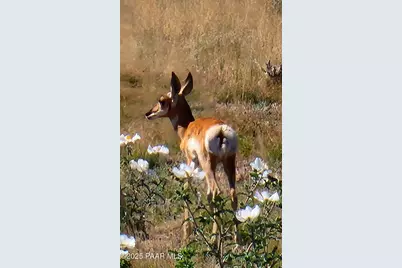 1125 N Wagon Wheel Place, Chino Valley, AZ 86323 - Photo 53