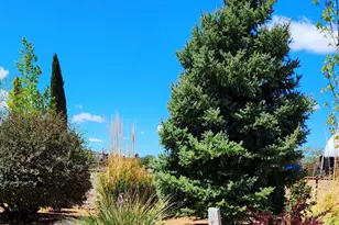 1125 N Wagon Wheel Pl, Chino Valley, AZ 86323 - Photo 57